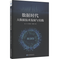 正版新书]数据时代大数据技术发展与实践庞灵,周文挺,马新华 著9