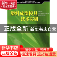 正版 塑料成型模具技术实训 洪惠良,沈建峰主编 国防工业出版社