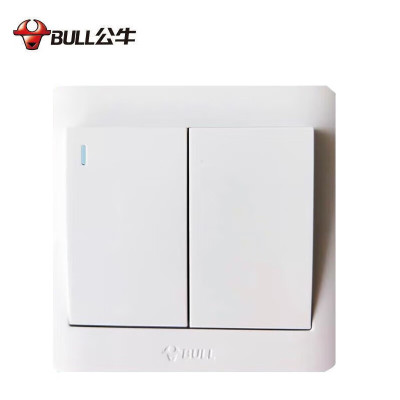 公牛 开关面板 二位单极带荧光开关 二开单控 86型 (白色) 暗装 GN-G32K211