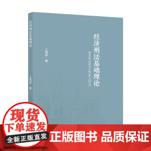 经济刑法基础理论 王海桥 法律经济金融理论社科专著 中国政法大学出版社 王海桥 中国政法大学出版社 正版书籍