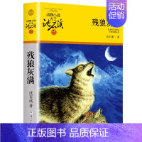 残狼灰满 [正版]沈石溪动物小说品藏书系列全集36册狼王梦斑羚飞渡后一头战象雪豹悲歌混血豺王第七条猎狗十大经典阅读必书目