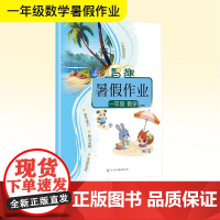 智趣暑假作业 一年级 数学 人教版 李兵 编 小学教辅文教 正版图书籍 云南科技出版社