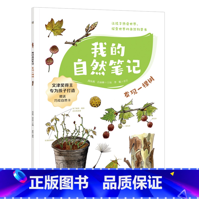 我的自然笔记·发现一棵树 [正版]我的自然笔记第二辑系列任选 芮东莉 文津图书奖得主芮东莉领衔创作。植物的秘密法宝+园里