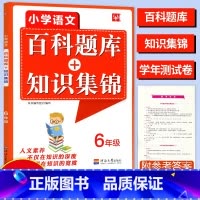 [正版]2023津桥教育小学语文综合知识全掌握百科题库+知识集锦6年级全一册语文提优小学生六年级上下册语文培优竞赛练习