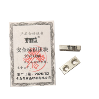 荣丽盛 安全标识压块 20x8x4mm/个