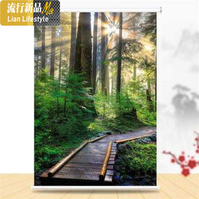 卷帘窗帘升降遮光免打孔安装拉帘办公室卧室厨房防水百叶手拉式帘 三维工匠