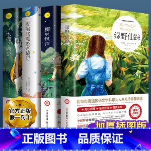 绿野仙踪4本 [正版]绿野仙踪原著注音小学生三年级四年级阅读课外书籍青少年无障碍阅读儿童文学获奖作品绿山墙的安妮著名作家
