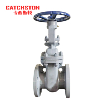 卡西斯顿 碳钢闸阀 DN50-150LB 个