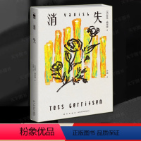 [正版] 消失 [美] 苔丝·格里森 美剧妙女神探系列原著小说 双女主强强联手惊险刺激反转不断 午夜文库 推理