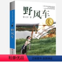 野风车 [正版]完整版野风车曹文轩系列原著纯美小说三4四5五六年级阅读阅读江苏少儿出版社儿童文学的经典图书籍根鸟全套小学
