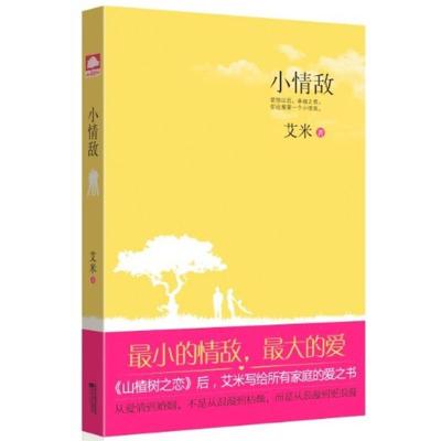 正版新书]小情敌艾米9787539946474