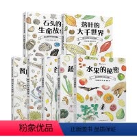 盛口满的手绘自然图鉴系列7册 [正版]浪花朵朵 盛口满的手绘自然图鉴系列7册 水果的秘密蔬菜的植物学 7-10岁 日