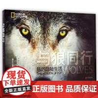 [中信书店 正版书籍]与狼同行(狼的隐秘生活)(精) 中信