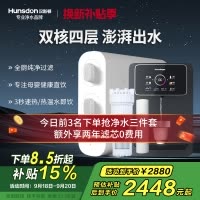 汉斯顿/Hunsdon净水器家用厨下式净水机家用直饮净水器C2净水器家用无桶双水大流量过滤器净水器