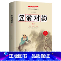 笠翁对韵 [正版]追逐金色的少年/长青藤国际大奖小说书系 青少年小学生课外阅读书籍儿童文学作品