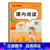 课内阅读[单册] 五年级下 [正版]五年级下册语文专项训练全套5册人教版小学5年级看拼音写词语字词句子训练课内课外阅读理