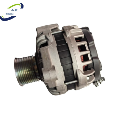 悉金 发电机总成 XJ - WP-FDJ 个