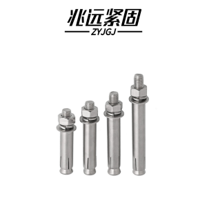 兆远紧固 不锈钢膨胀螺丝(个)(8*60)