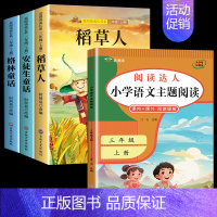 4册:快乐读书吧+阅读理解 [正版]稻草人书叶圣陶 三年级上册课外书必读二升三 老师快乐读书吧三上阅读全套 安徒生童话