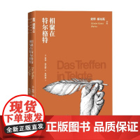 相聚在特尔格特 君特·格拉斯 著 文学