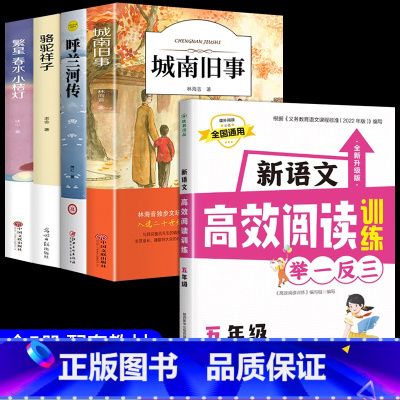 [5册]五年级课外阅读+高效阅读训练 [正版]城南旧事林海音完整版原著三四五六年级课外书必读阅读书籍经典书目小学生初中生