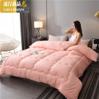 纯色冬季加厚冬被被褥棉被单双人学生宿舍春秋被空调被被芯被子 三维工匠