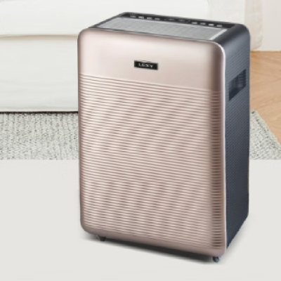 莱克 净化除湿一体机 DH200