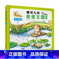 池塘篇 [正版]糖球儿的虫虫王国历险(6册)可以单发 精装硬壳绘本彩绘版 幼儿园阅读昆虫科学图画书 3-6岁幼儿童早教启