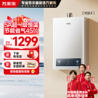 万家乐恒温王燃气热水器JSQ30-16P3(F)天然气5A超一级恒温家用16升洗澡一级节能省气防冻