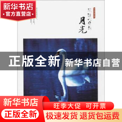 正版 照进心里的月光 付桂秋 天津人民出版社 9787201122540 书籍