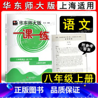 语文 八年级/初中二年级 [正版]2022新版华东师大版一课一练 语文 八年级上册 8年级第1学期 五四学制语文全新编写