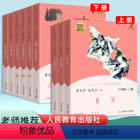 ♥六年级上册+下册全套9册(人教版) [正版]快乐读书吧六年级上下册必读小英雄雨来童年爱的教育尼尔斯骑鹅旅行记鲁滨逊汤姆