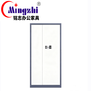 铭志办公家具 双色通体保密柜(国保锁) MZBMG-01(1850*900*430mm)个