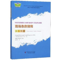 音像现场急救指南(壮汉双语)壮族红十字会编