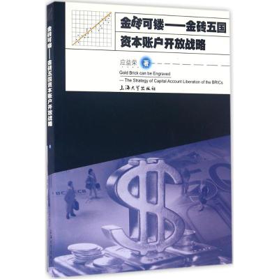 金砖可镂-金砖五国资本账户开放战略