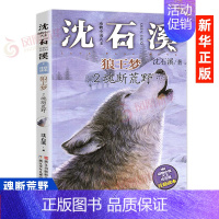 2.魂断荒野单本 [ 注音版] [正版]狼王梦沈石溪动物小说系列品藏书系后一头战象8-10-12-15周岁儿童文学三四五