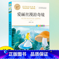 爱丽丝漫游奇境 [正版]鲁滨逊漂流记六年级下册课外书阅读必读快乐读书吧骑鹅旅行记老师的小学生语文上册全套人教汤姆索亚历险