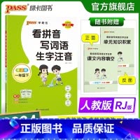 语文 一年级下 [正版]2024春小学看拼音写词语生字注音通用版一年级下册同步专项训练RJ版1年级下册字帖描红学霸范PA
