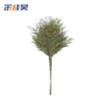 金桂昊 扫把 2.2米 把