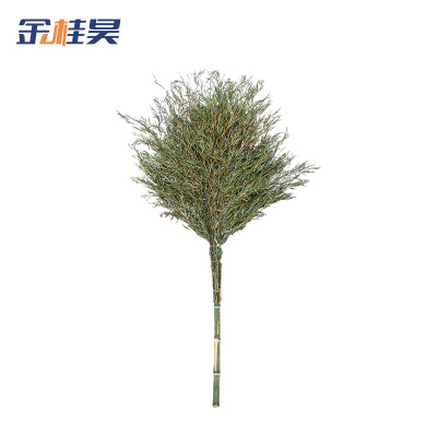 金桂昊 扫把 2.2米 把