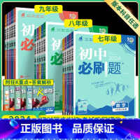 人教版]语数英物4本 九年级下 [正版]2024初中七上八九年级上册下册数学英语物理化学生物地理语文全套人教版初一三初二