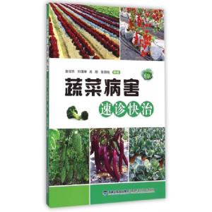 正版新书]蔬菜病害速诊快治张绍升//刘国坤//肖顺//张锦垣978753