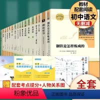 全套17本]八年级下4册+九年级上下13册必读 [正版]经典常谈朱自清名人传钢铁是怎样炼成的给青年的十二封信原著人民教育
