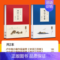 唐诗+宋词-共2本珍藏版[约594首] [正版]卢中南小楷唐诗三百首宋词三百首近距离临帖卡临摹字卡钢笔楷书字帖硬笔毛笔书