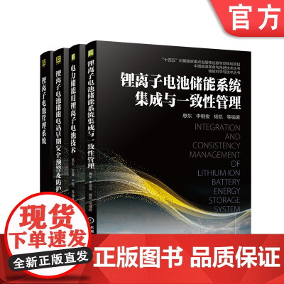 套装 正版 锂离子电池储能技术丛书 共4册 系统集成与一致性管理+电力储能用锂离子电池技术+电站早期安全预警及防护+