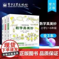 店[全3册]数学真美妙 小学1~6年级 小学一二三四五六6年级数学课外趣味读物辅导思维训练举一反三同步数学科普书籍