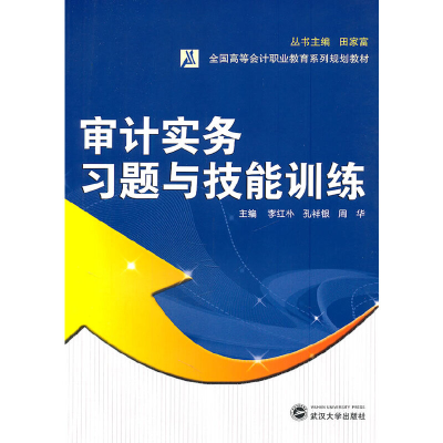 醉染图书审计实务习题与技能训练9787307089211