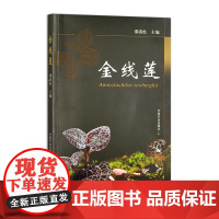 正版 金线莲 320536 邵清松 2024.06