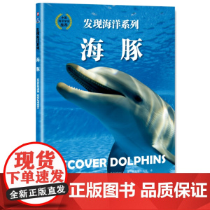海豚