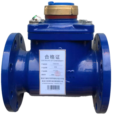 硕臻 机械水表 DN200 个
